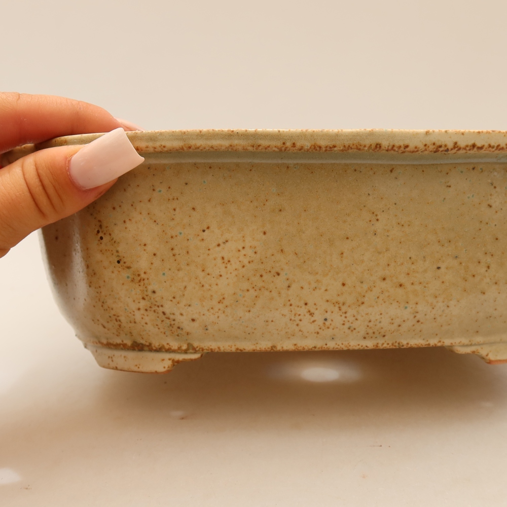 Ceramiczna miska do bonsai 22,5 x 17,5 x 7,5 cm, kolor beżowy