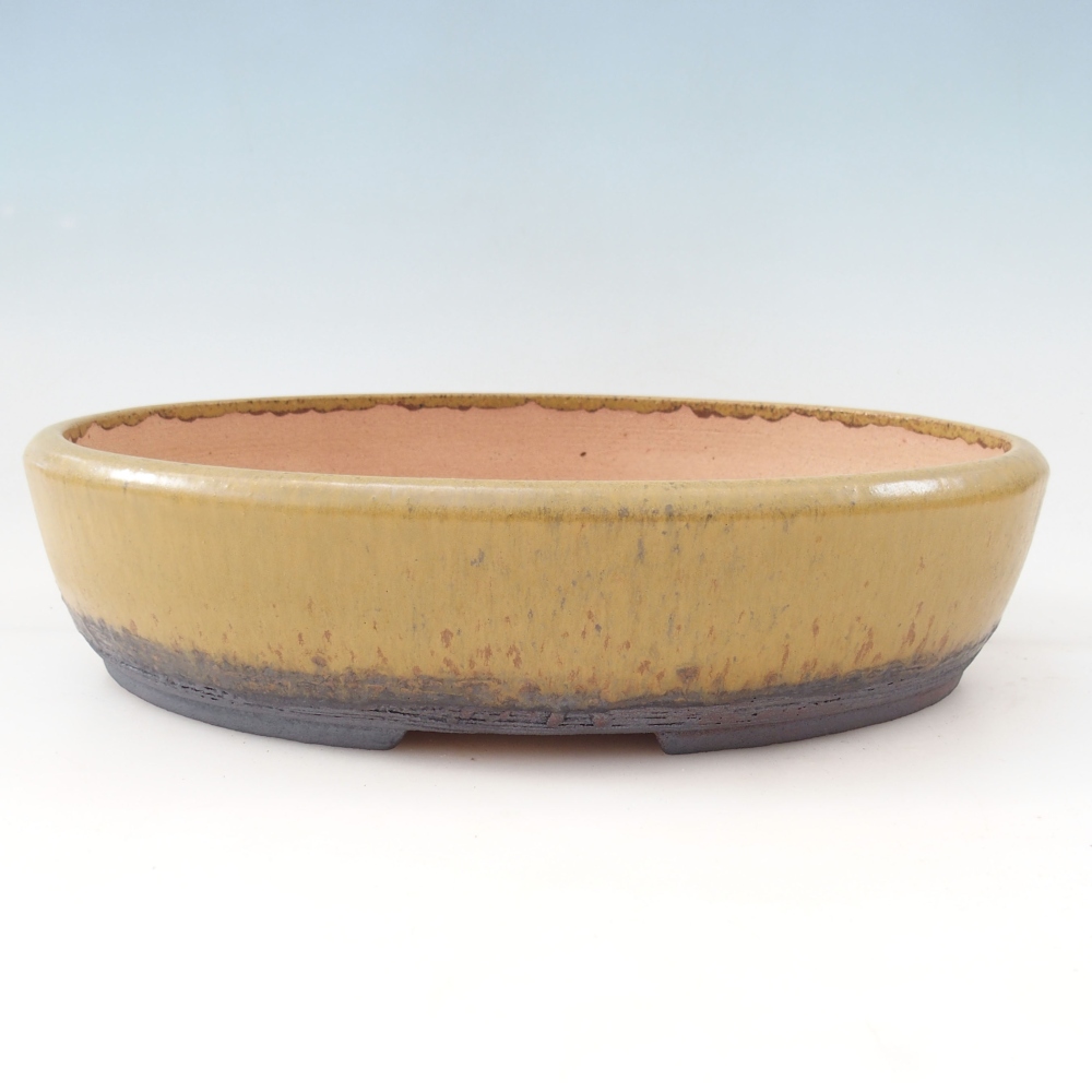 Misa do bonsai 32 x 25 x 7,5 cm, kolor żółty