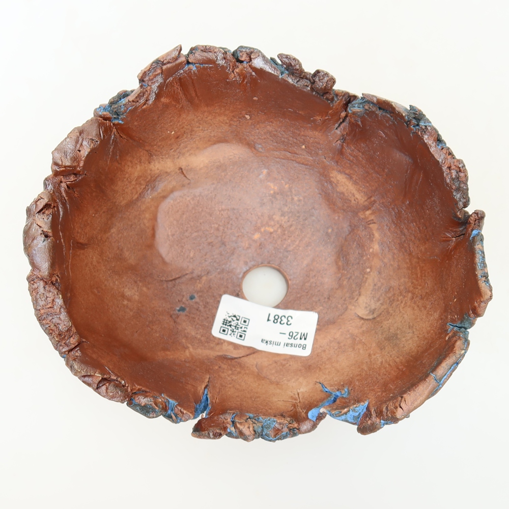 Ceramiczna skorupa 14,5 x 13 x 8,5 cm, kolor niebieski
