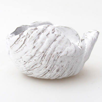 Ceramiczna skorupa 8 x 6 x 5 cm, kolor biały - 1