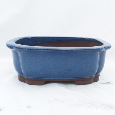 Miska Bonsai 30 x 25 x 10 cm, kolor niebieski - 1