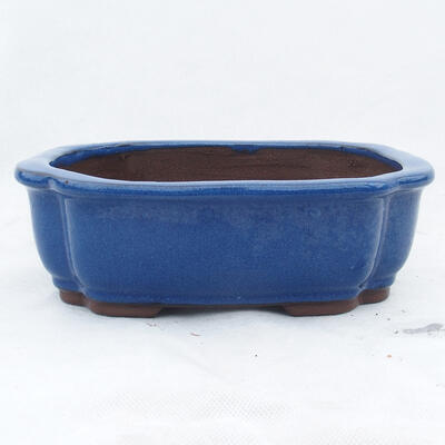 Miska Bonsai 24 x 19 x 7,5 cm, kolor niebieski - 1