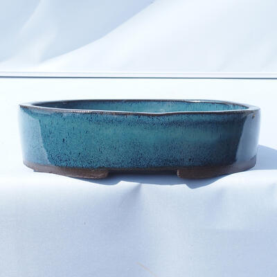 Miska Bonsai 20 x 14 x 4,5 cm kolor niebieski - 1
