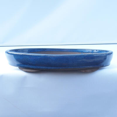 Miska Bonsai 31 x 22 x 5 cm kolor niebieski - 1