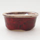 Mini miska bonsai 4,5 x 3,5 x 2 cm, kolor czerwony - 1/3