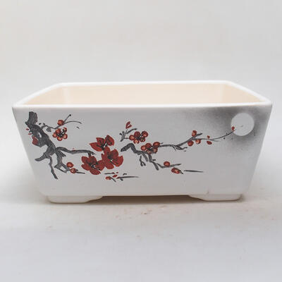 Ceramiczna miska bonsai 22 x 22 x 9 cm, kolor biały - 1