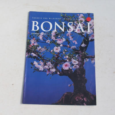 Magazyn Bonsai - CBA 2000-1