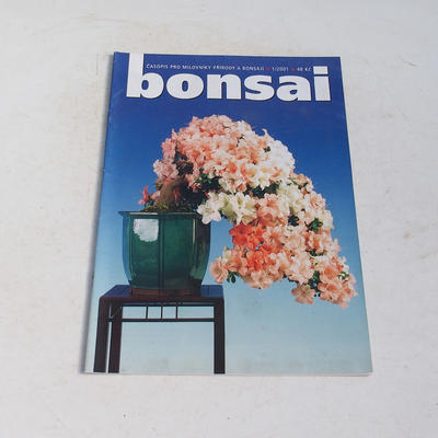 Magazyn Bonsai - CBA 2001-1