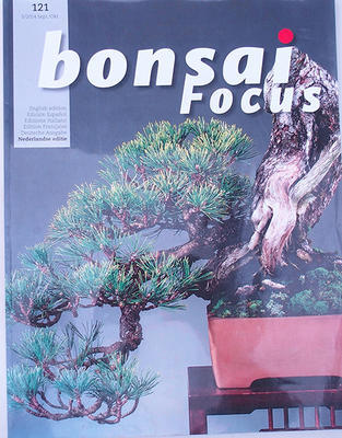 Bonsai focus - holenderski nr.121 - 1