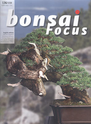 Bonsai Focus nr 136 - 1