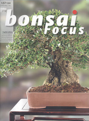 Bonsai Focus nr 137 - 1