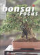 Bonsai Focus nr 137 - 1/4
