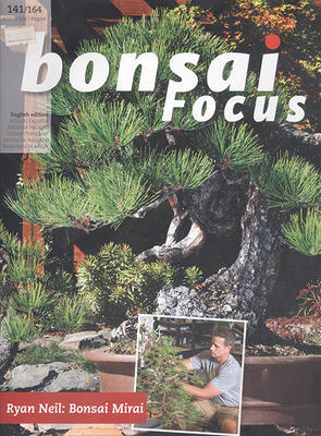 Bonsai Focus nr 141 - 1