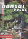 Bonsai Focus nr 141 - 1/4