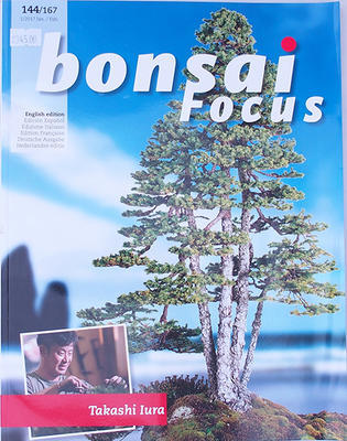 Bonsai focus - angielski nr 144 - 1