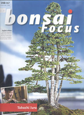 Bonsai Focus nr 144 - 1