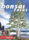 Bonsai Focus nr 144 - 1/4