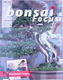 Bonsai focus - angielski nr 145 - 1/6