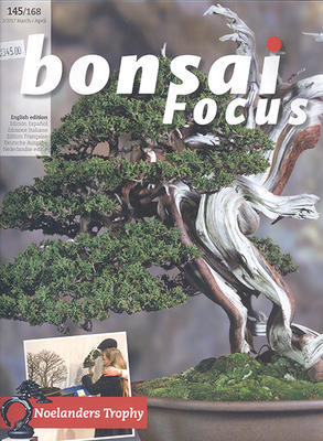 Bonsai Focus nr 145 - 1