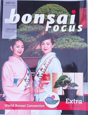 Bonsai focus - angielski nr 147 - 1