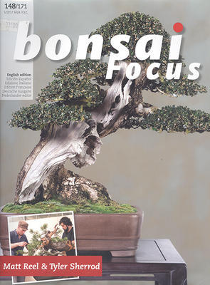 Fokus Bonsai nr 148 - 1