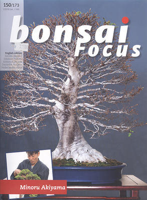 Bonsai Focus nr 150 - 1
