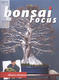 Bonsai Focus nr 150 - 1/4