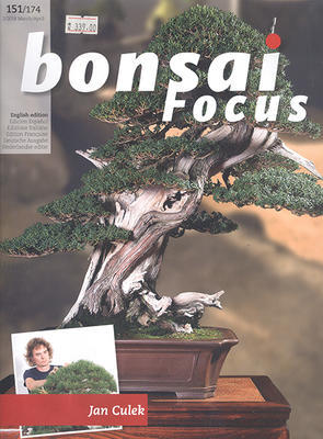 Bonsai Focus nr 151 - 1