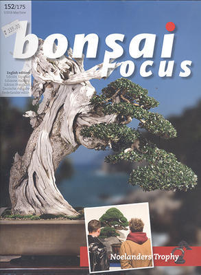 Bonsai Focus nr 152 - 1