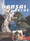 Bonsai Focus nr 152 - 1/4