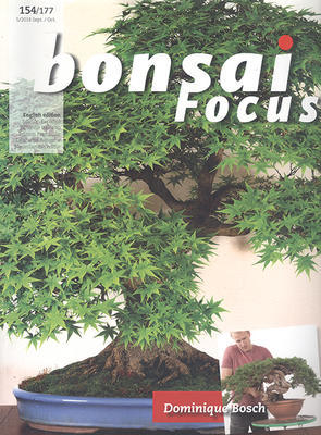Bonsai Focus nr 154 - 1
