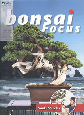 Bonsai Focus nr 156 - 1