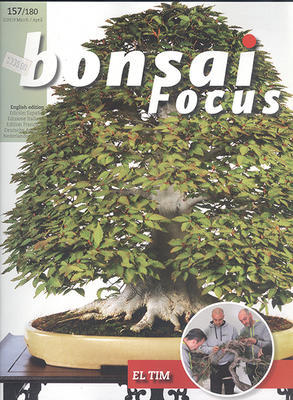 Bonsai Focus nr 157 - 1