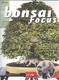 Bonsai Focus nr 157 - 1/4