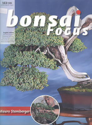 Fokus Bonsai nr 163 - 1