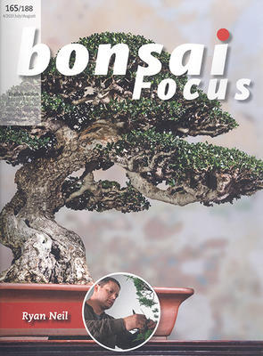 Bonsai Focus nr 165 - 1