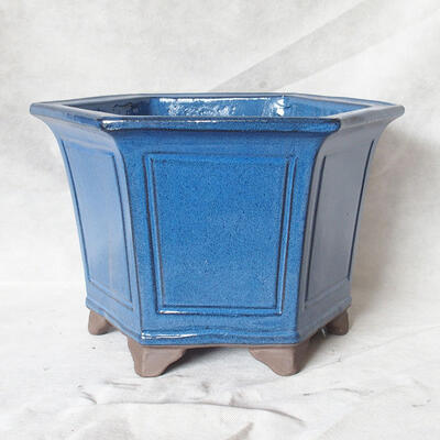 Miska Bonsai 40 x 35 x 26 cm, kolor niebieski - 1