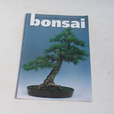 Magazyn Bonsai - CBA 2000-2