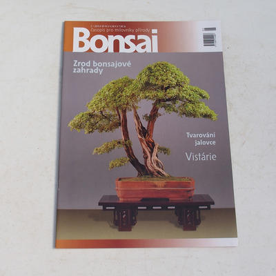 magazyn bonsai - CBA 2010-2