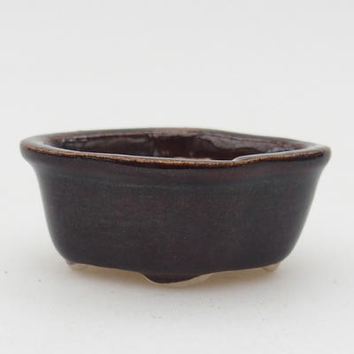 Mini miska z bonsai - 1