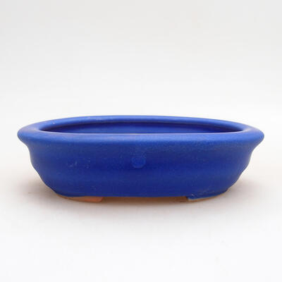 Ceramiczna miska bonsai 11,5 x 8,5 x 3 cm, kolor niebieski - 1