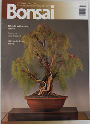 Magazyn Bonsai - CBA 2011-2