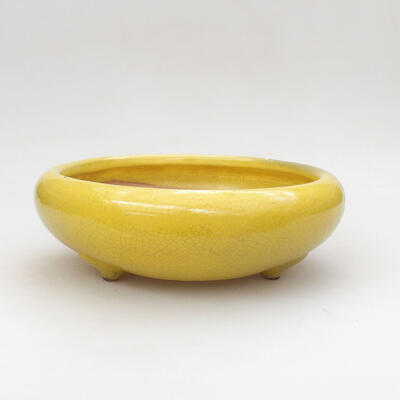 Ceramiczna miska bonsai 19,5 x 19,5 x 6,5 cm, kolor żółty - 1