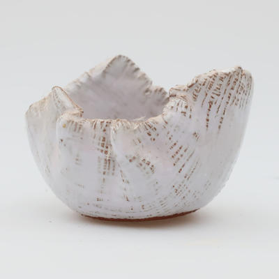 Ceramiczna skorupa - 1