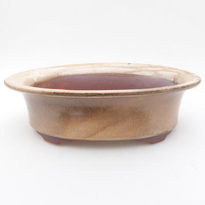 Ceramiczna miska bonsai 21 x 17 x 6 cm, kolor beżowy - 1