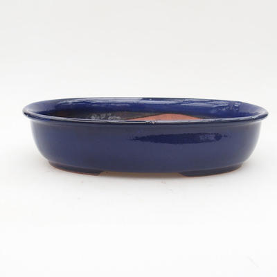Ceramiczna miska bonsai 22 x 17 x 5 cm, kolor niebieski - 1
