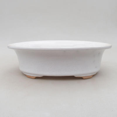 Ceramiczna miska bonsai 22 x 18 x 6,5 cm, kolor biały - 1