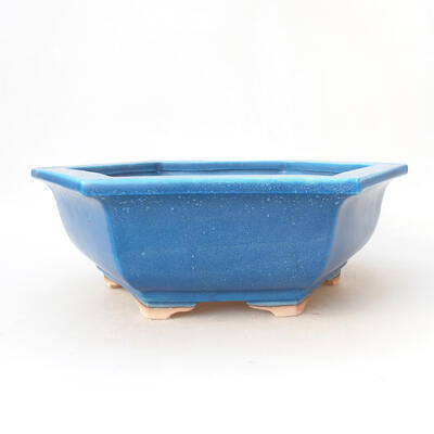 Ceramiczna miska bonsai 27,5 x 24,5 x 9 cm, kolor niebieski - 1