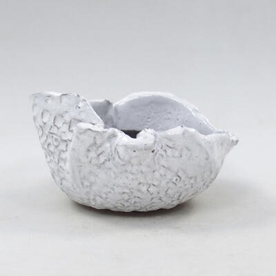 Ceramiczna skorupa 9,5 x 8 x 5 cm, kolor biały - 1