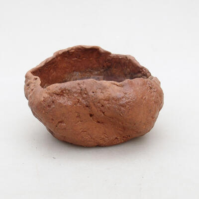 Ceramiczna muszla 8,5 x 7 x 4,5 cm, kolor brązowy - 1